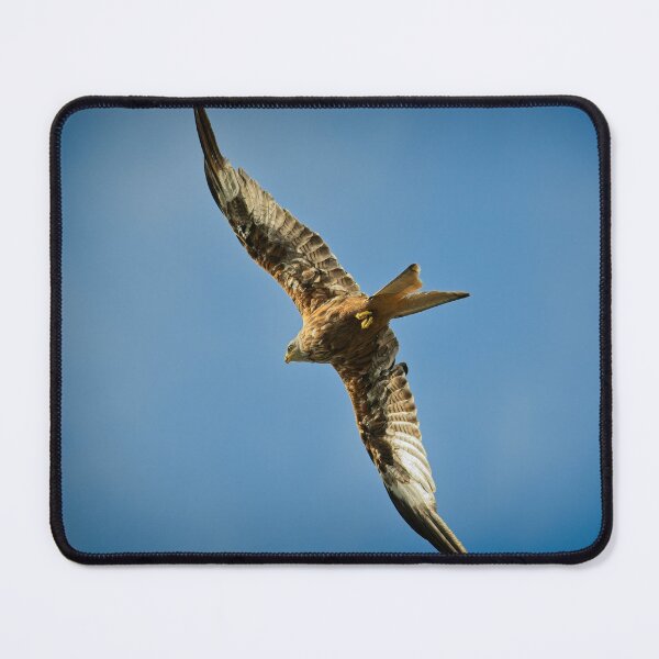 Item preview, Red kite flying designed and sold by Stephen Jarman.