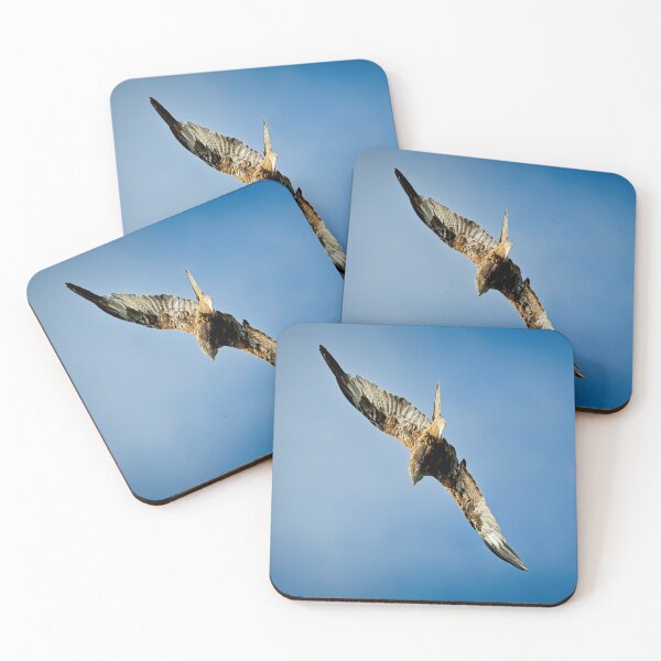 Item preview, Red kite flies away designed and sold by Stephen Jarman.