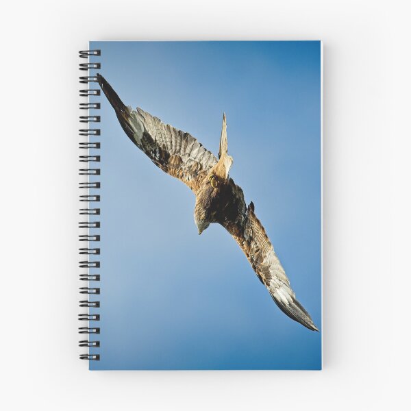 Item preview, Red kite flies away designed and sold by Stephen Jarman.