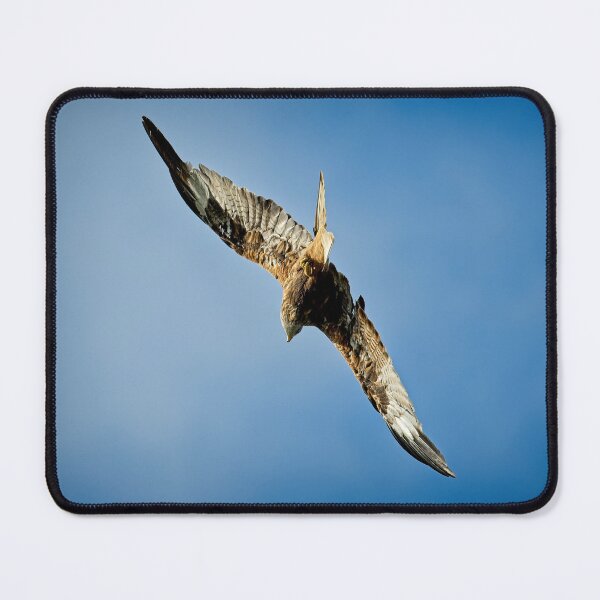 Item preview, Red kite flies away designed and sold by Stephen Jarman.