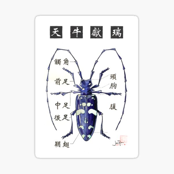 The Auspicious Longhorn Beetle Sticker