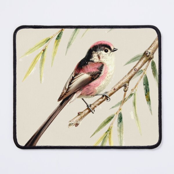 Item preview, Long-Tailed Tit on Branch – Vintage Natural History Bird Illustration designed and sold by AnimalAirtistry.
