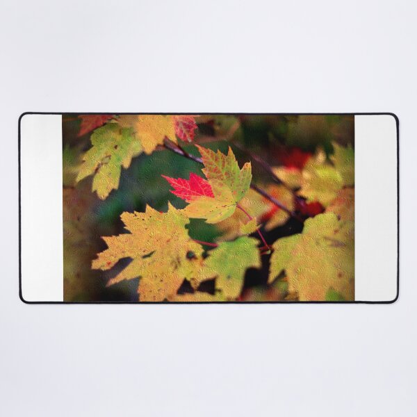 Item preview, Autumn's Turning Leaves designed and sold by BostonArcImage.