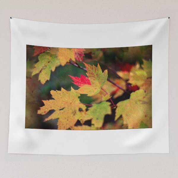 Item preview, Autumn's Turning Leaves designed and sold by BostonArcImage.