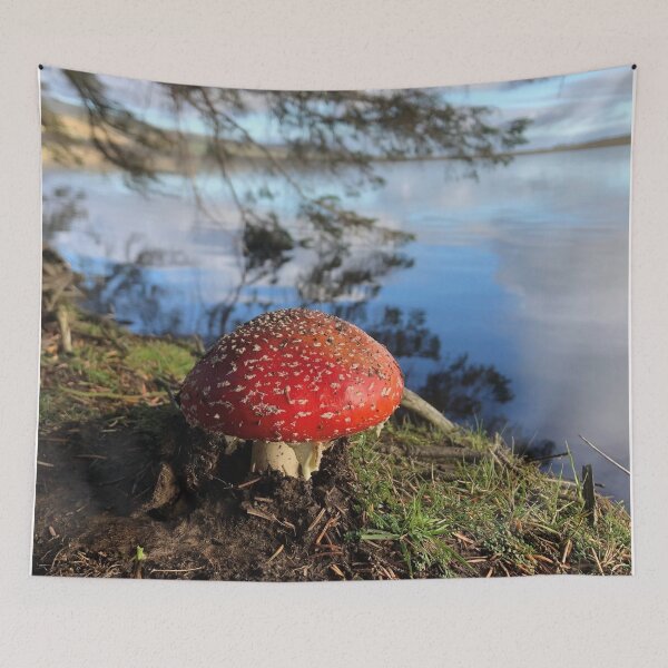 Item preview, A bright image of a Fungi by a lake with reflections on the water, nature photograph. designed and sold by Bwananyoka.