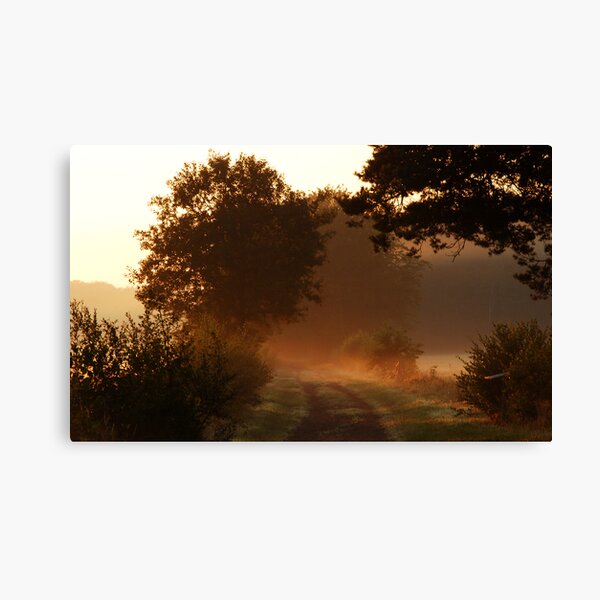 Starting out on a new morning Canvas Print