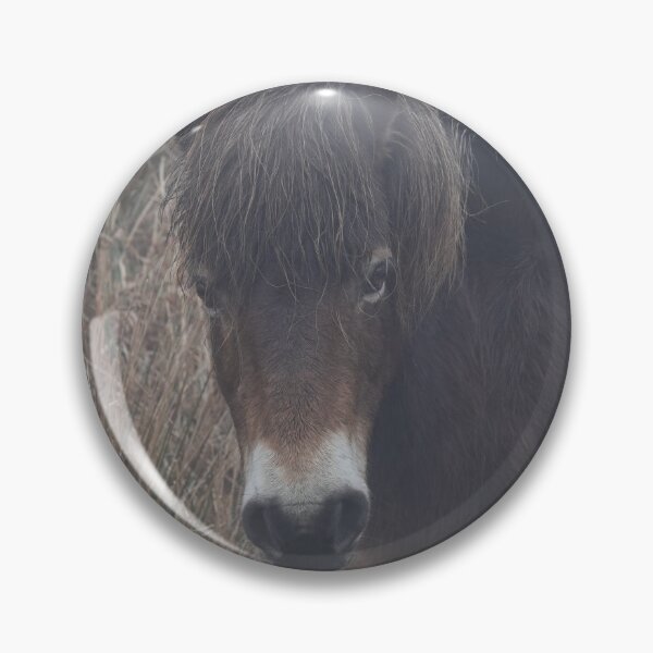 Item preview, Exmoor pony designed and sold by frogs123.