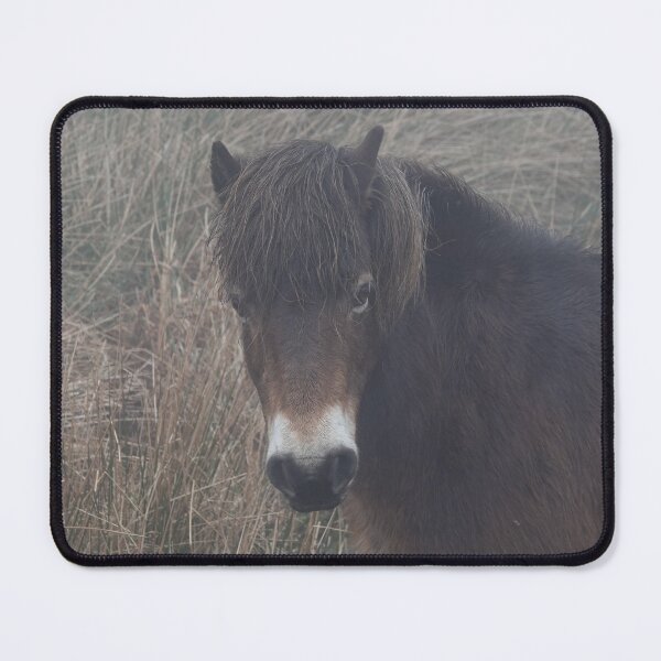 Item preview, Exmoor pony designed and sold by frogs123.