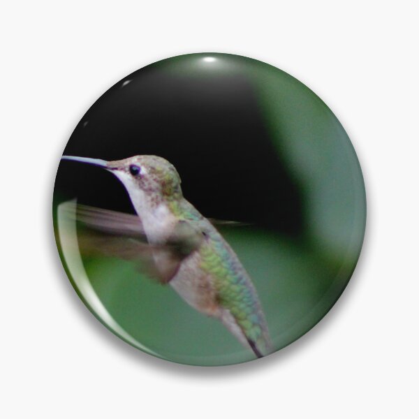 Artikelvorschau, Der Kolibri entworfen und verkauft von Jmb67.