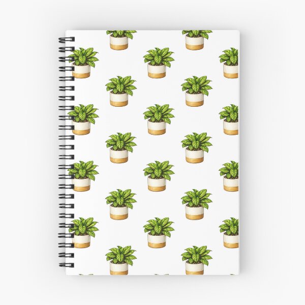 Item preview, Calathea Prayer Plant Aesthetic Illustration designed and sold by Sketch Garden.