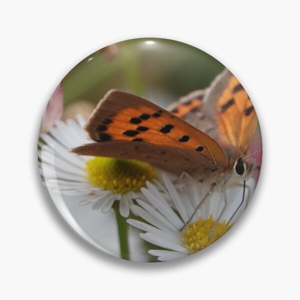 Item preview, Small copper designed and sold by frogs123.