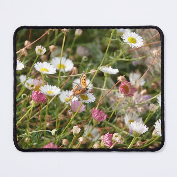 Item preview, Small copper designed and sold by frogs123.