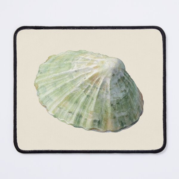 Item preview, Common Limpet (Patella vulgata) designed and sold by AhojAnezkaAhoj.