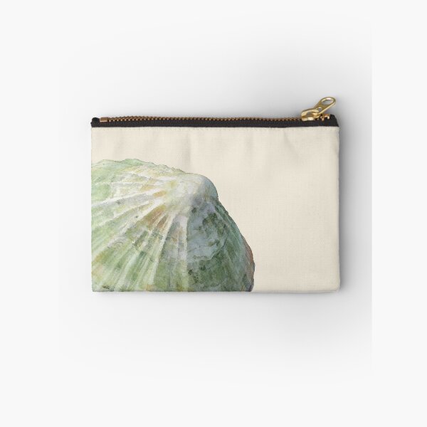 Item preview, Common Limpet (Patella vulgata) designed and sold by AhojAnezkaAhoj.