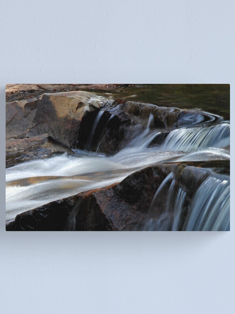 Alternate view of Transfusion Canvas Print