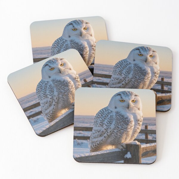 Item preview, Snowy Owl on a Winter Fence designed and sold by adill72.