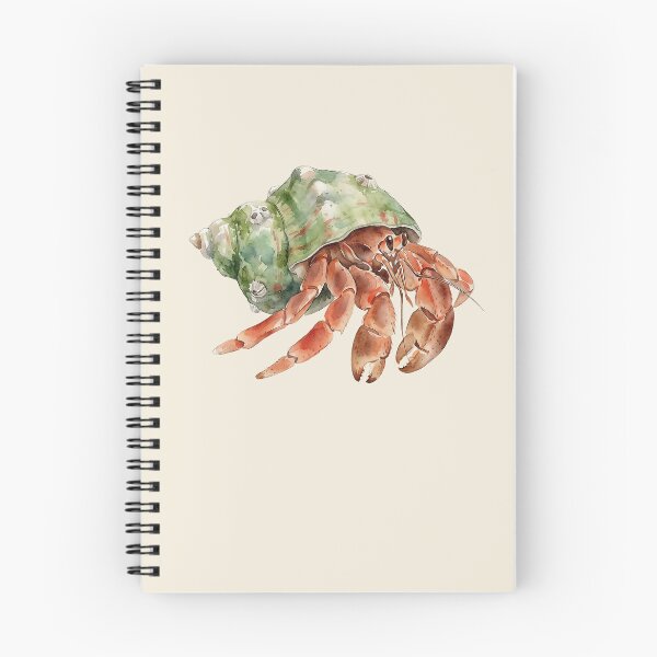 Item preview, Hermit Crab (Pagurus bernhardus) designed and sold by AhojAnezkaAhoj.