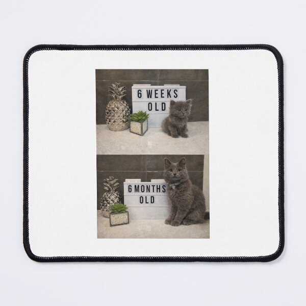 Item preview, Kitten growth through time designed and sold by donchago.