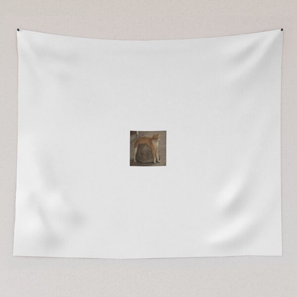 Item preview, Cat perched on a rock designed and sold by donchago.