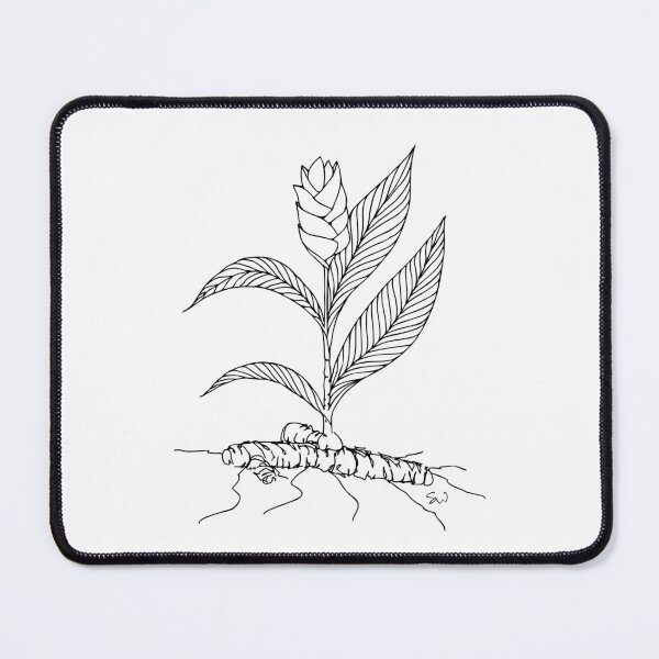 Item preview, Curcuma Line Drawing Symmetric Minimalist Aesthetic Natural Design designed and sold by SWSandraWechner.