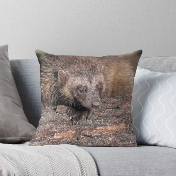Item preview, Wolverine Close Encounter designed and sold by rawshutterbug.