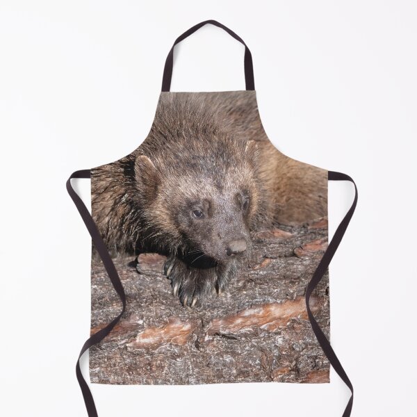 Item preview, Wolverine Close Encounter designed and sold by rawshutterbug.