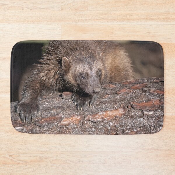 Item preview, Wolverine Close Encounter designed and sold by rawshutterbug.