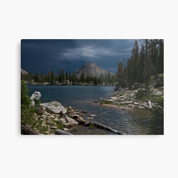 Blue Rain Metal Print