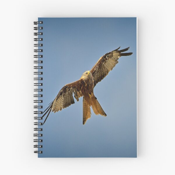 Item preview, Red kite flying above designed and sold by Stephen Jarman.