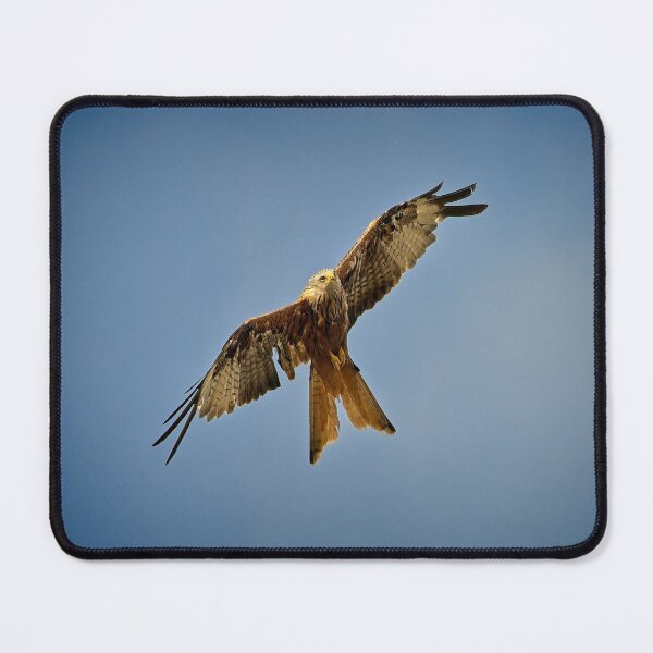 Item preview, Red kite flying above designed and sold by Stephen Jarman.