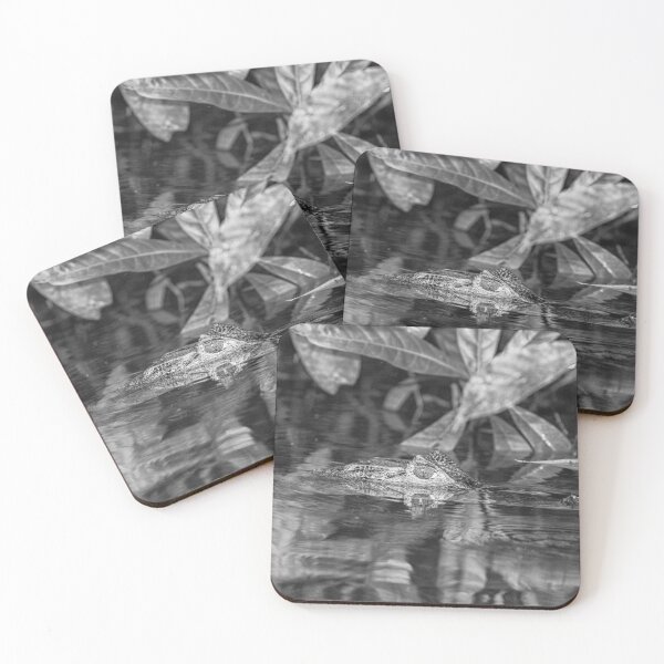 Item preview, Head and eyes of a caiman above water designed and sold by Photopat.