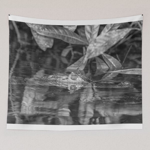 Item preview, Head and eyes of a caiman above water designed and sold by Photopat.