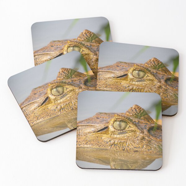 Item preview, Ancient Gaze – Caiman Eye Reflected at the Water Surface, Amazon Wildlife Photography designed and sold by WildFrameNature.