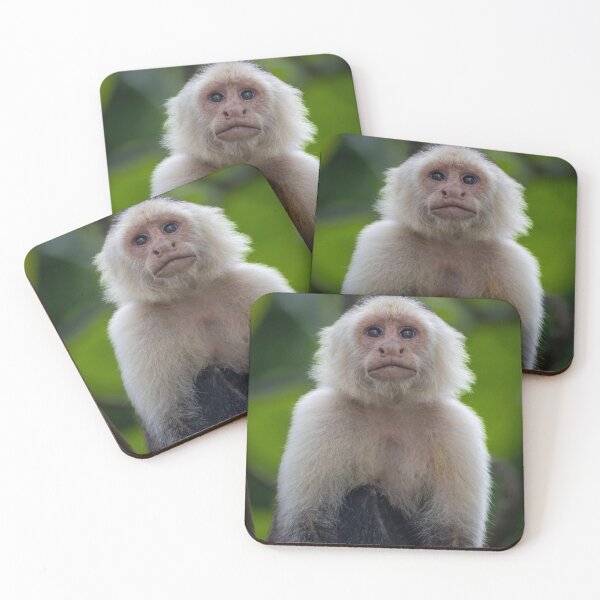 Item preview, Soul Stare – White-Faced Capuchin Monkey Portrait, Costa Rica Wildlife Photography designed and sold by WildFrameNature.
