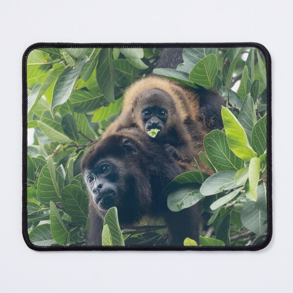Item preview, Two of a Kind – Howler Monkey Mother and Baby in the Rainforest Canopy, Costa Rica Wildlife Photography designed and sold by WildFrameNature.