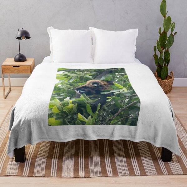 Item preview, Two of a Kind – Howler Monkey Mother and Baby in the Rainforest Canopy, Costa Rica Wildlife Photography designed and sold by WildFrameNature.