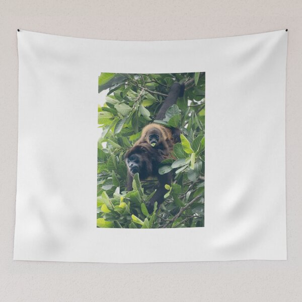 Item preview, Two of a Kind – Howler Monkey Mother and Baby in the Rainforest Canopy, Costa Rica Wildlife Photography designed and sold by WildFrameNature.