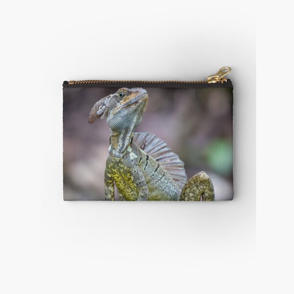 Item preview, Little Dragon – Basilisk Lizard Posing on Mossy Rock, Costa Rica Wildlife Photography designed and sold by WildFrameNature.