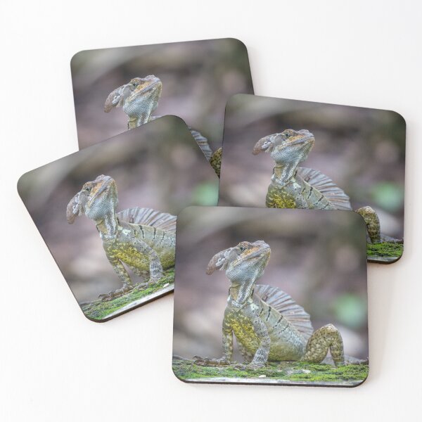 Item preview, Little Dragon – Basilisk Lizard Posing on Mossy Rock, Costa Rica Wildlife Photography designed and sold by WildFrameNature.