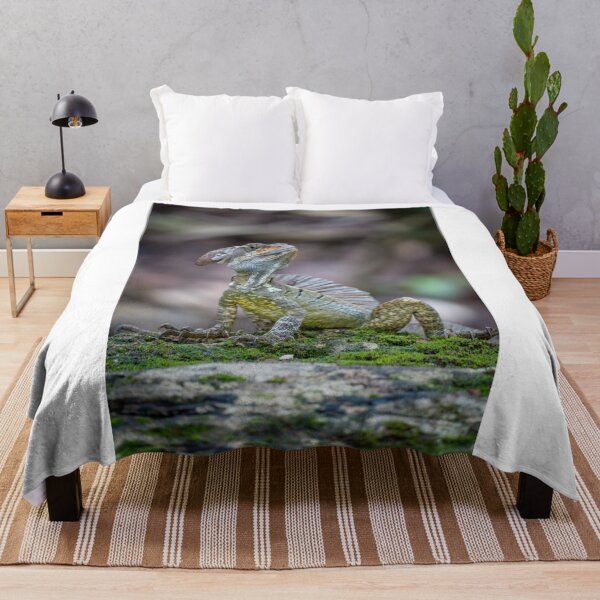 Item preview, Little Dragon – Basilisk Lizard Posing on Mossy Rock, Costa Rica Wildlife Photography designed and sold by WildFrameNature.