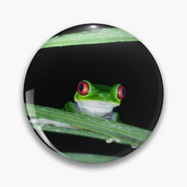 Item preview, Night Watch – Red-Eyed Tree Frog Peering Through Palm Leaves, Costa Rica Wildlife Photography designed and sold by WildFrameNature.