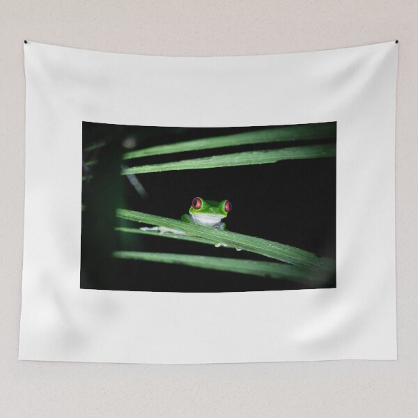 Item preview, Night Watch – Red-Eyed Tree Frog Peering Through Palm Leaves, Costa Rica Wildlife Photography designed and sold by WildFrameNature.
