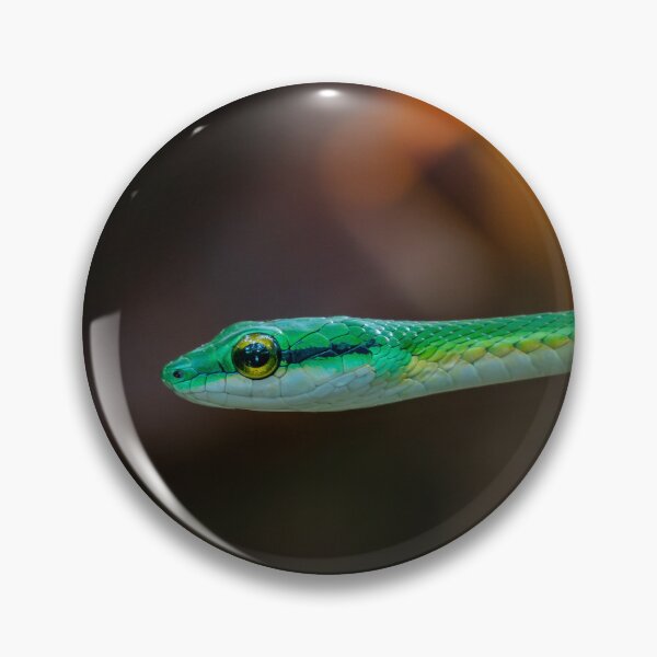 Item preview, Emerald Arrow – Green Vine Snake Close-Up, Costa Rica Wildlife Photography designed and sold by WildFrameNature.