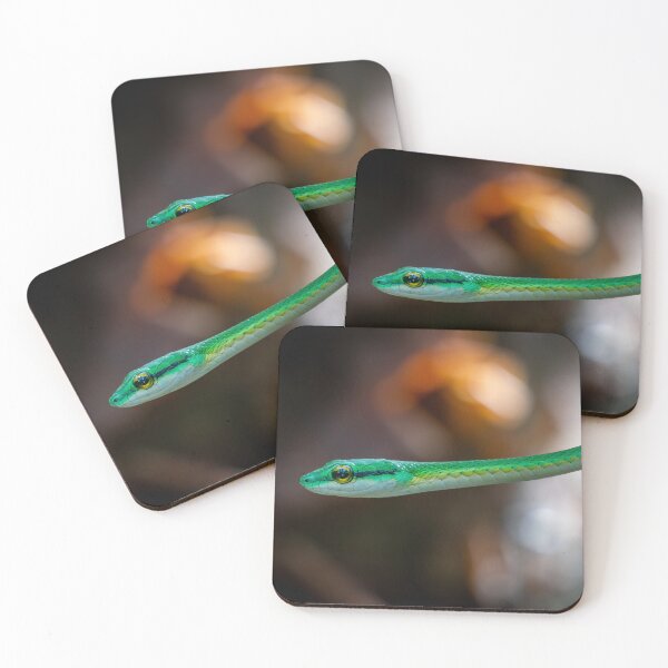 Item preview, Emerald Arrow – Green Vine Snake Close-Up, Costa Rica Wildlife Photography designed and sold by WildFrameNature.