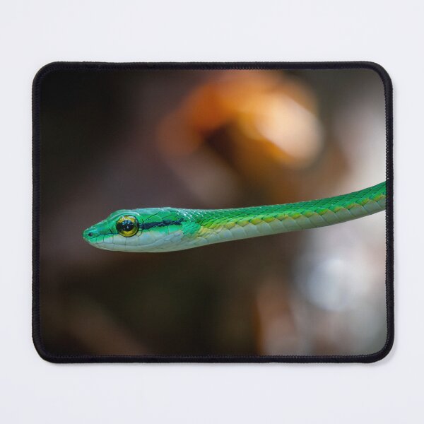 Item preview, Emerald Arrow – Green Vine Snake Close-Up, Costa Rica Wildlife Photography designed and sold by WildFrameNature.