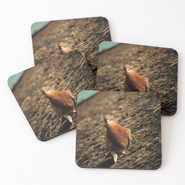 Item preview, Pigeon Photography designed and sold by NicolasGlowArt.