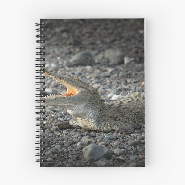 Item preview, Open Wide – American Crocodile Basking with Jaws Agape, Costa Rica Wildlife Photography designed and sold by WildFrameNature.