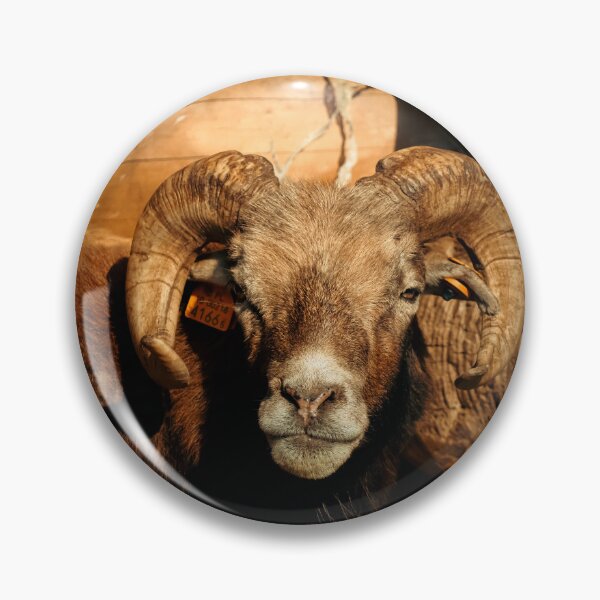 Item preview, Aries Photo Poster designed and sold by NicolasGlowArt.