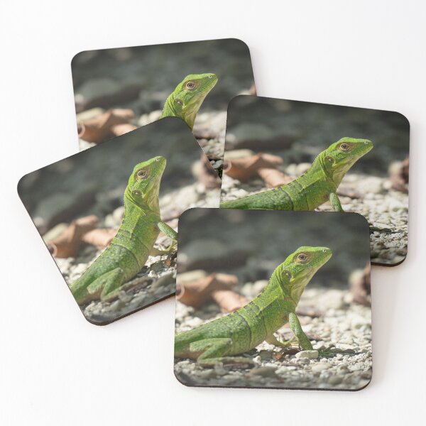Item preview, Emerald Sentinel – Juvenile Green Basilisk on Rocky Ground, Costa Rica Wildlife Photography designed and sold by WildFrameNature.