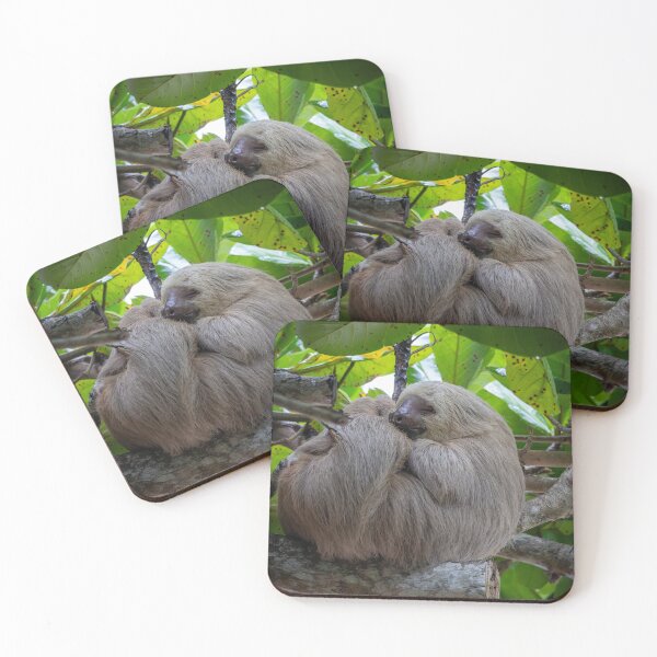 Item preview, No Worries – Two-Toed Sloth Sleeping in the Rainforest Canopy, Costa Rica Wildlife Photography designed and sold by WildFrameNature.